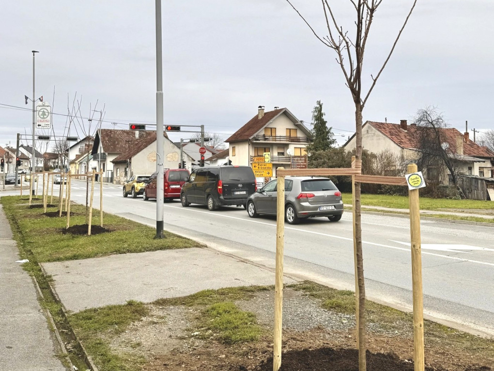 Nova stabla u požeškoj Ulici Pavla Radića