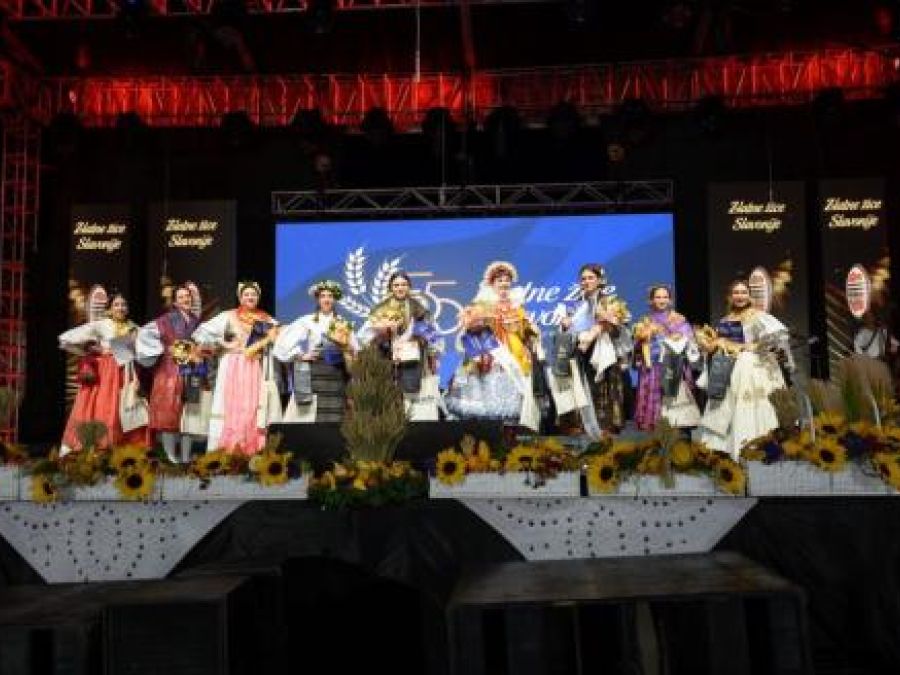 Zlatne žice Slavonije: Započele prijave za folklorne skupine i najgizdaviju Šokicu