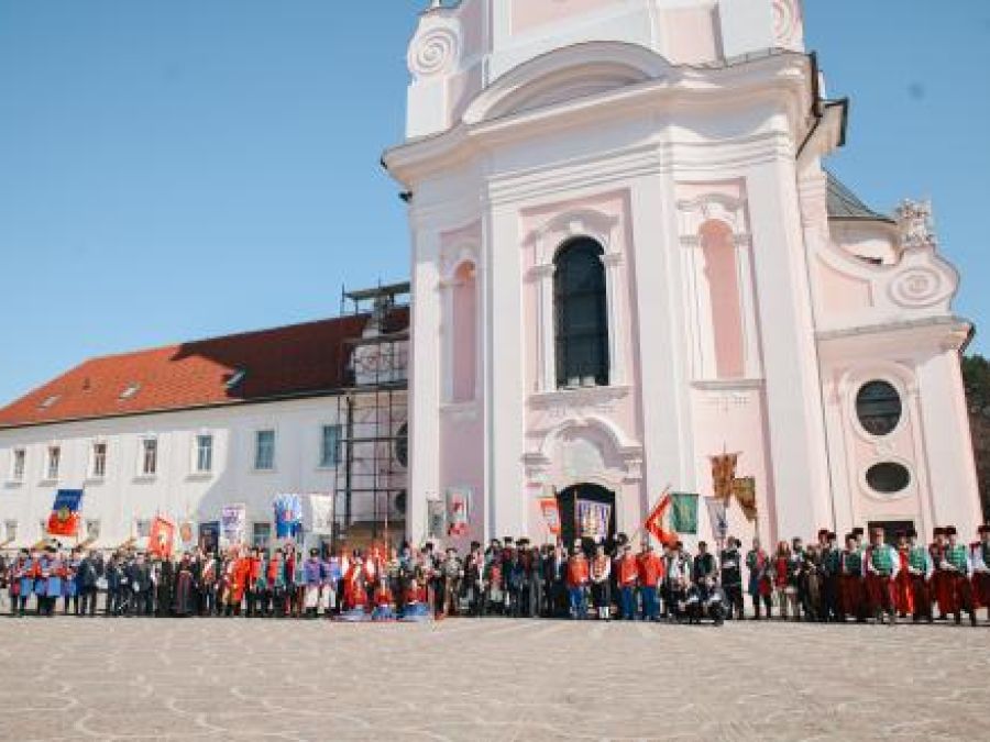 Požega proslavila Dan grada i Grgurevo uz povijesne postrojbe i manifestaciju „Zeleno – plavo“