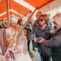 20251115120129_IMG_2566