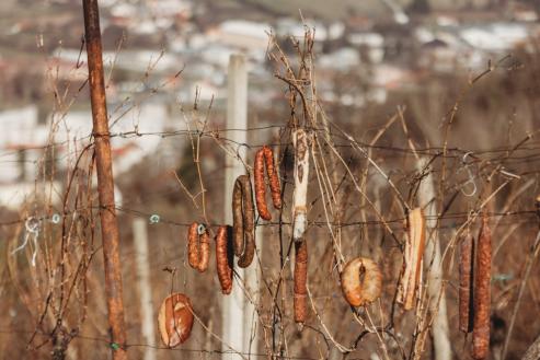 U SUBOTU 24. SIJEČNJA Vincelovo na Požeškoj gori, u vinogradu obitelji Paus