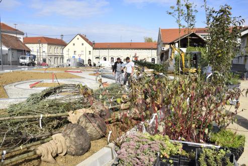 NOVI TEMATSKI PARK Počelo hortikulturno uređenje zapadnog ulaza u Požegu 