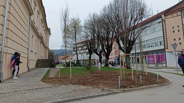 Početak sadnje novih stabala u Ulici dr. Franje Tuđmana