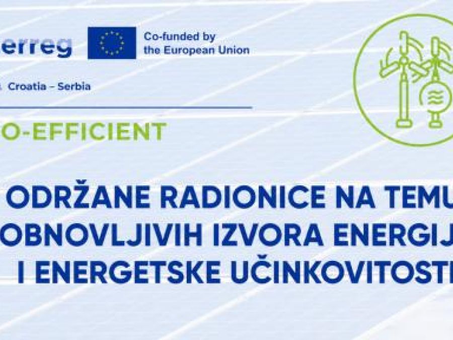 LORA POŽEGA Održane radionice o obnovljivim izvorima energije i energetskoj učinkovitosti u sklopu projekta PRO-EFFICIENT