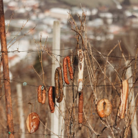 489415008_1227780219349499_6859669457063225612_n-980x654