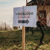 621691903_1207053124893616_1631759115857798229_n