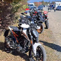Motocross 10